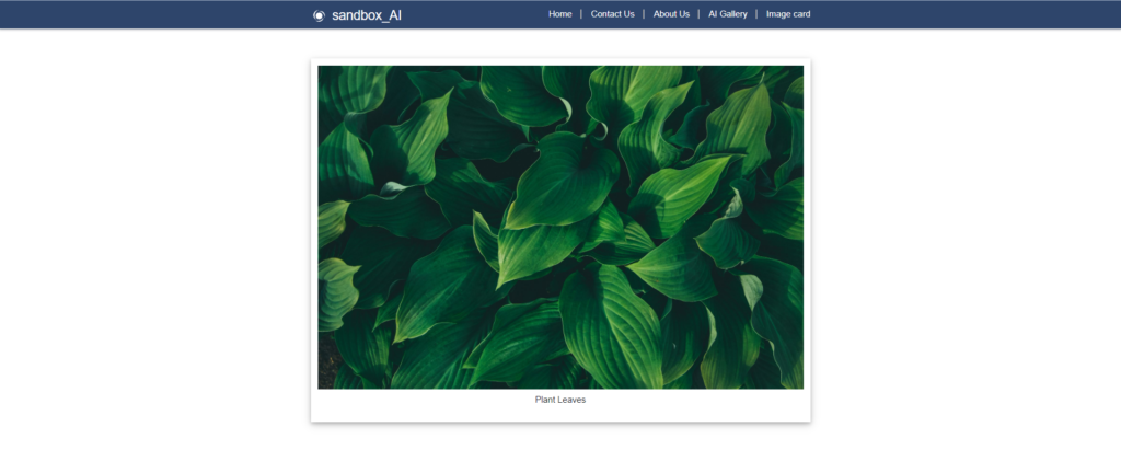 How to Apply Custom Styles in Power Pages? 20 Image observe with personalized style