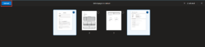 pages in the PDF